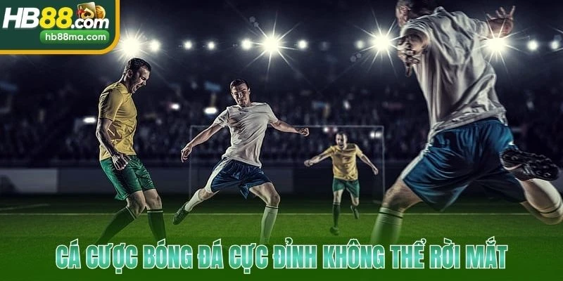 Cá cược bóng đá cực đỉnh không thể rời mắt