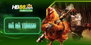 Đá Gà Thomo