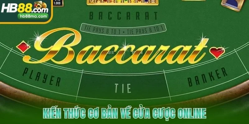 Kiến thức cơ bản về cửa cược online