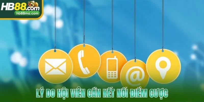 Lý do hội viên cần kết nối điểm cược