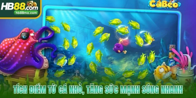 Tích điểm từ cá nhỏ, tăng sức mạnh súng nhanh